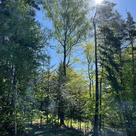 W Szczerym Lesie - Z Sauna I Jacuzzi W Lesie Nad Jeziorem Mucharskim Dabrowka (Wadowice)